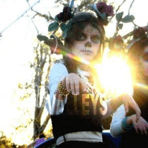 Valleys - Ordinary Dream