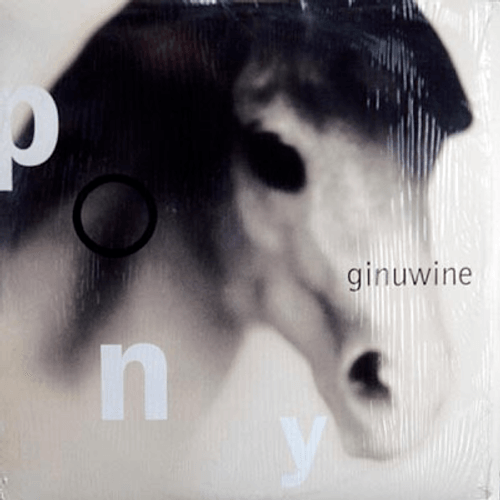 Ginuwine - Pony