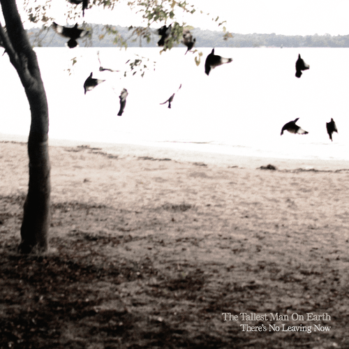 The Tallest Man On Earth - Little Brother
