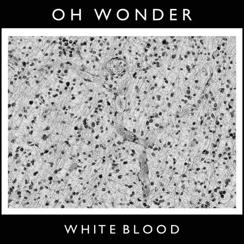 Oh Wonder - Ultralife | Indie Shuffle