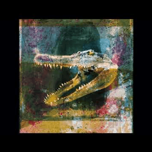 Mogwai - Dry Fantasy