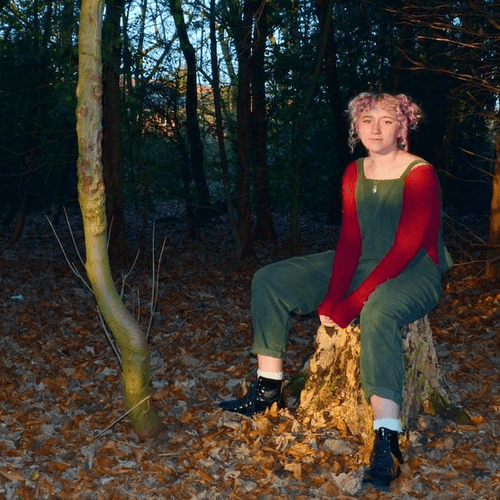 rainbow frog biscuit - Hide Behind