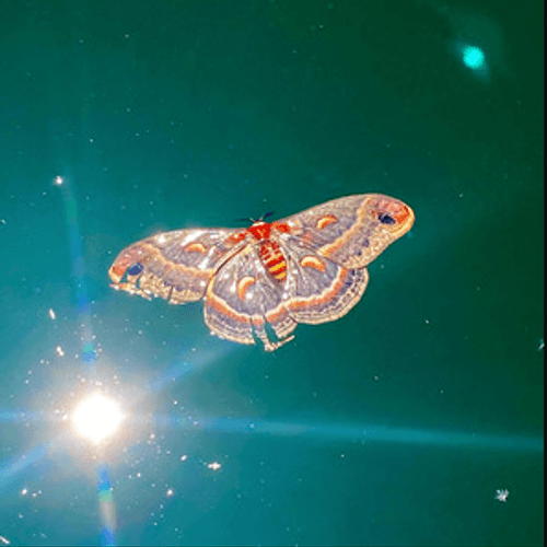 Path - 2 Little Whos