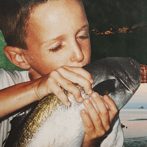 Felly - show me what i'm missing