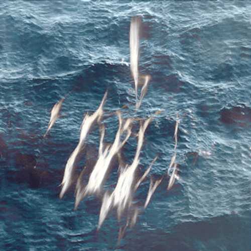 Sebastian Müller - Nebelkleid (VV-U Remix)