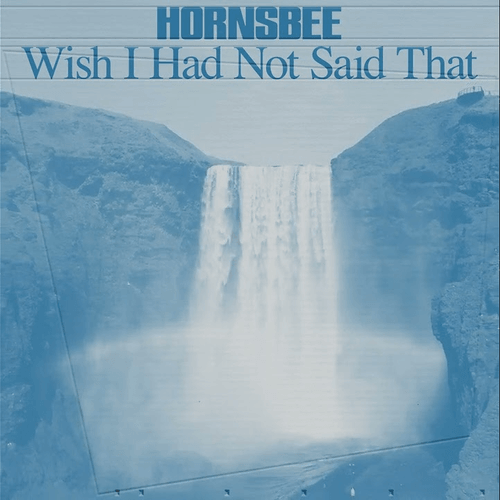 J.J. Cale - Wish I Had Not Said That (Hornsbee  Cover)