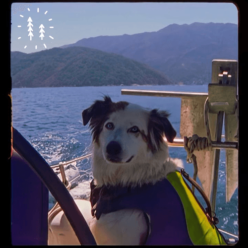 Goth Babe x Surfaces - Mexico