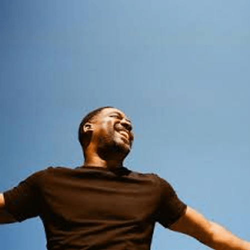 Vulfpeck - New Beastly