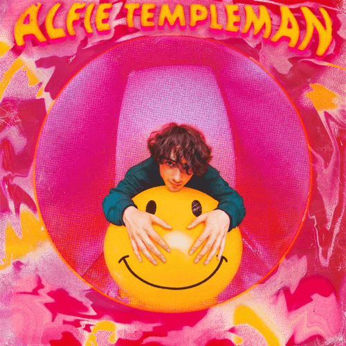 Alfie Templeman - Obvious Guy