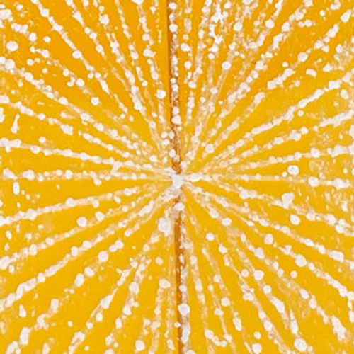 The Surf Shack - Waves