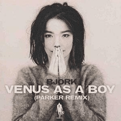 Björk - Venus as a Boy (Parker Dubstep Remix)