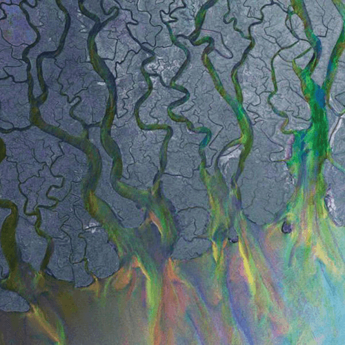 Alt-J - Taro