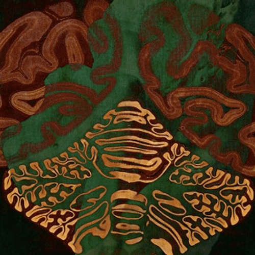Glass Animals - Cocoa Hooves