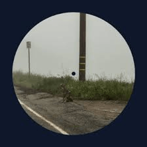 Dominic Fike - misses