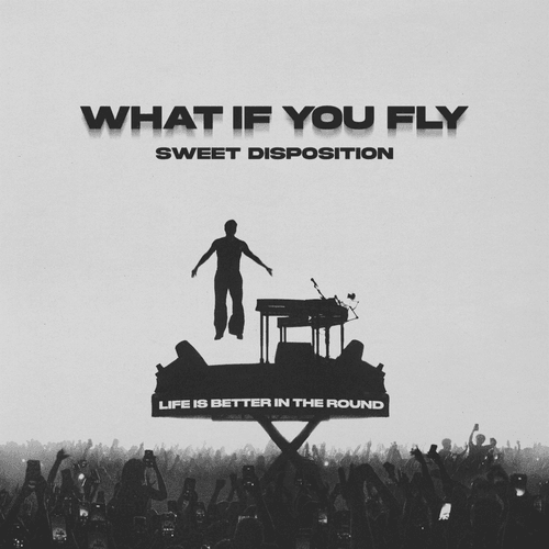 The Temper Trap -  What If You Fly (Sweet Disposition) (BUNT Remix)