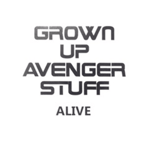 Grown Up Avenger Stuff - Now