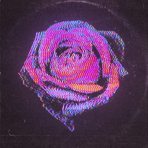 Inner Wave - Rose