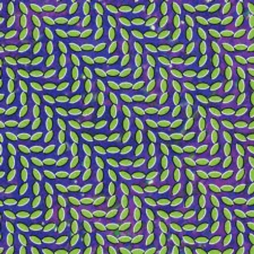 Animal Collective - My Girls