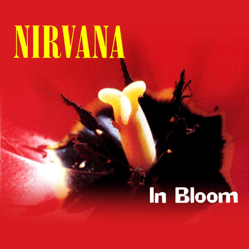 Nirvana - In Bloom (Fink Cover)