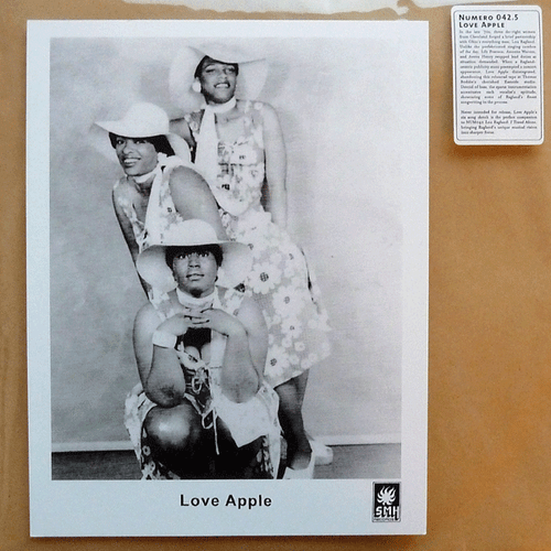 Love Apple - Guess I Always Knew