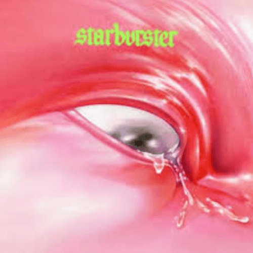 Fontaines D.C. - Starbuster