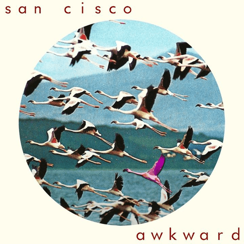 San Cisco - Awkward