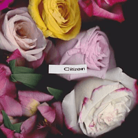 Sir Sly - Citizen (Ft. Gary Clark Jr.)