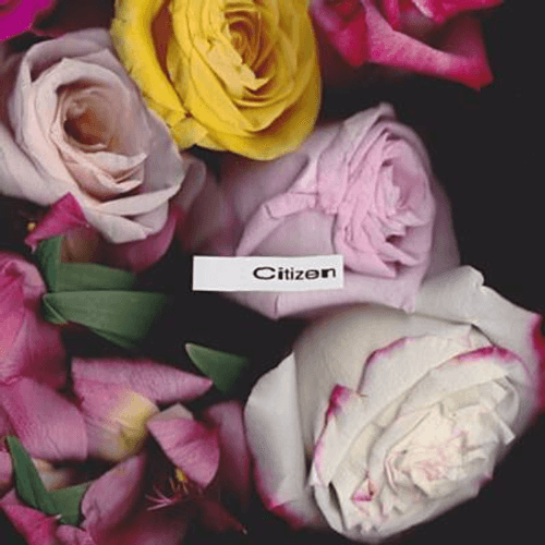 Sir Sly - Citizen (Ft. Gary Clark Jr.)